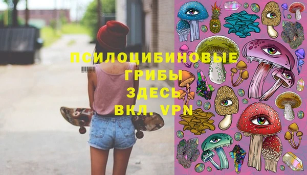 мяу мяу мука Алексин