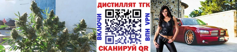Дистиллят ТГК гашишное масло  Находка 
