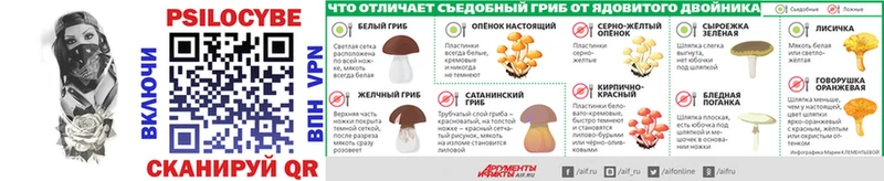 hydra   Находка  Галлюциногенные грибы GOLDEN TEACHER 