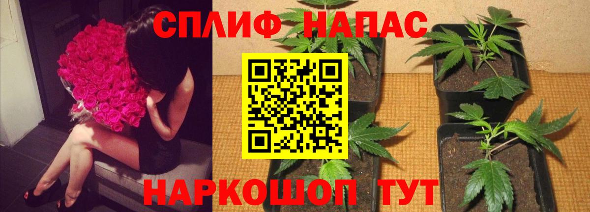 Бошки Шишки марихуана  Вход с VPN  Находка  Бошки марихуана тримм  Марихуана MAZAR 